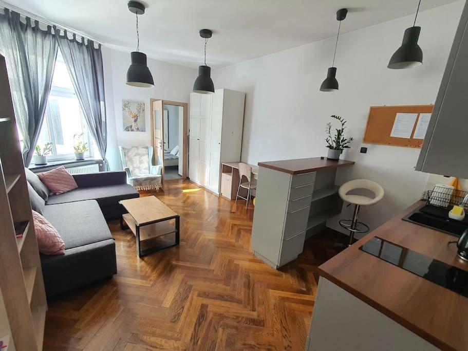 Apartament Przy Szkole Filmowej, Darmowy Parking Łódź Exteriör bild
